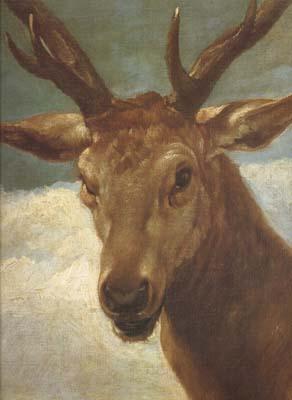  Head of a Stag (df01)